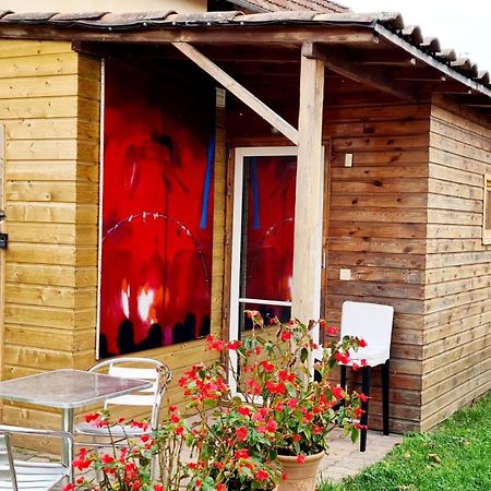 Cabane Cote Jardin Тулуза Екстериор снимка